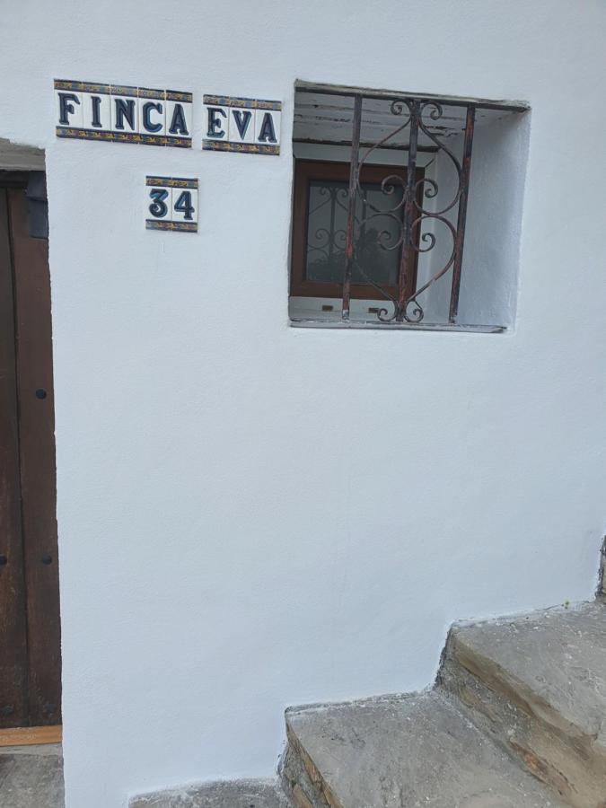 Eva 34 Historico